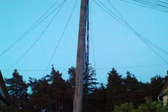 1483521830DSC05446
